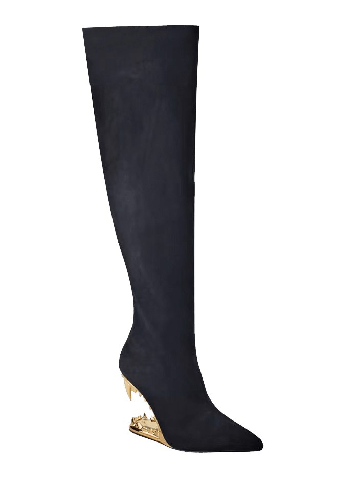BootPrivilegedAndrily