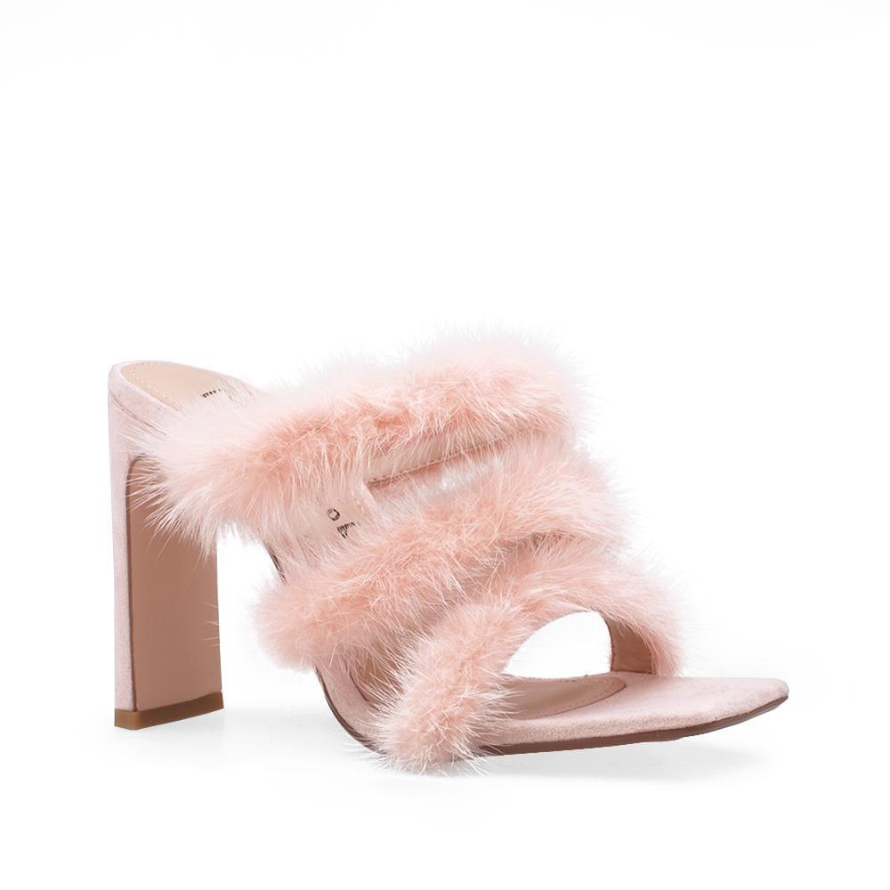 HeelPrivilegedCachita