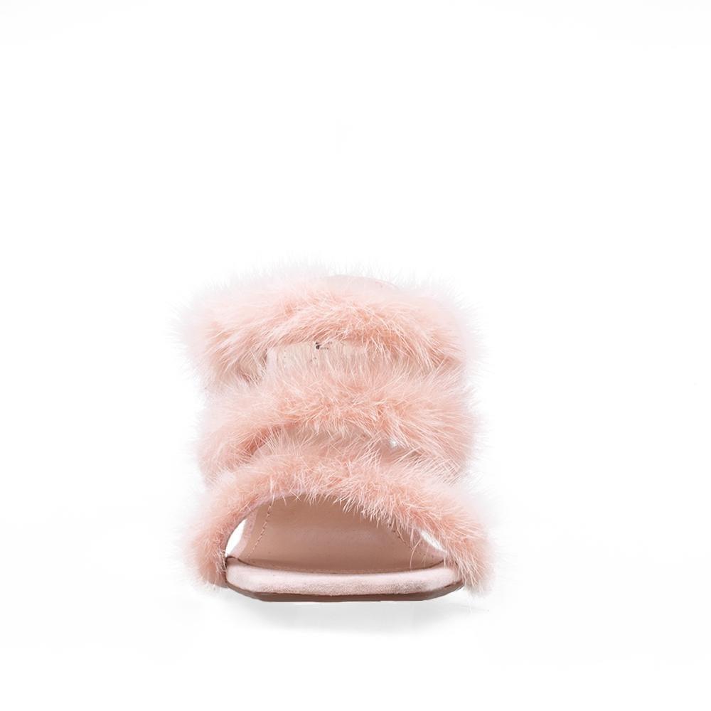 HeelPrivilegedCachita