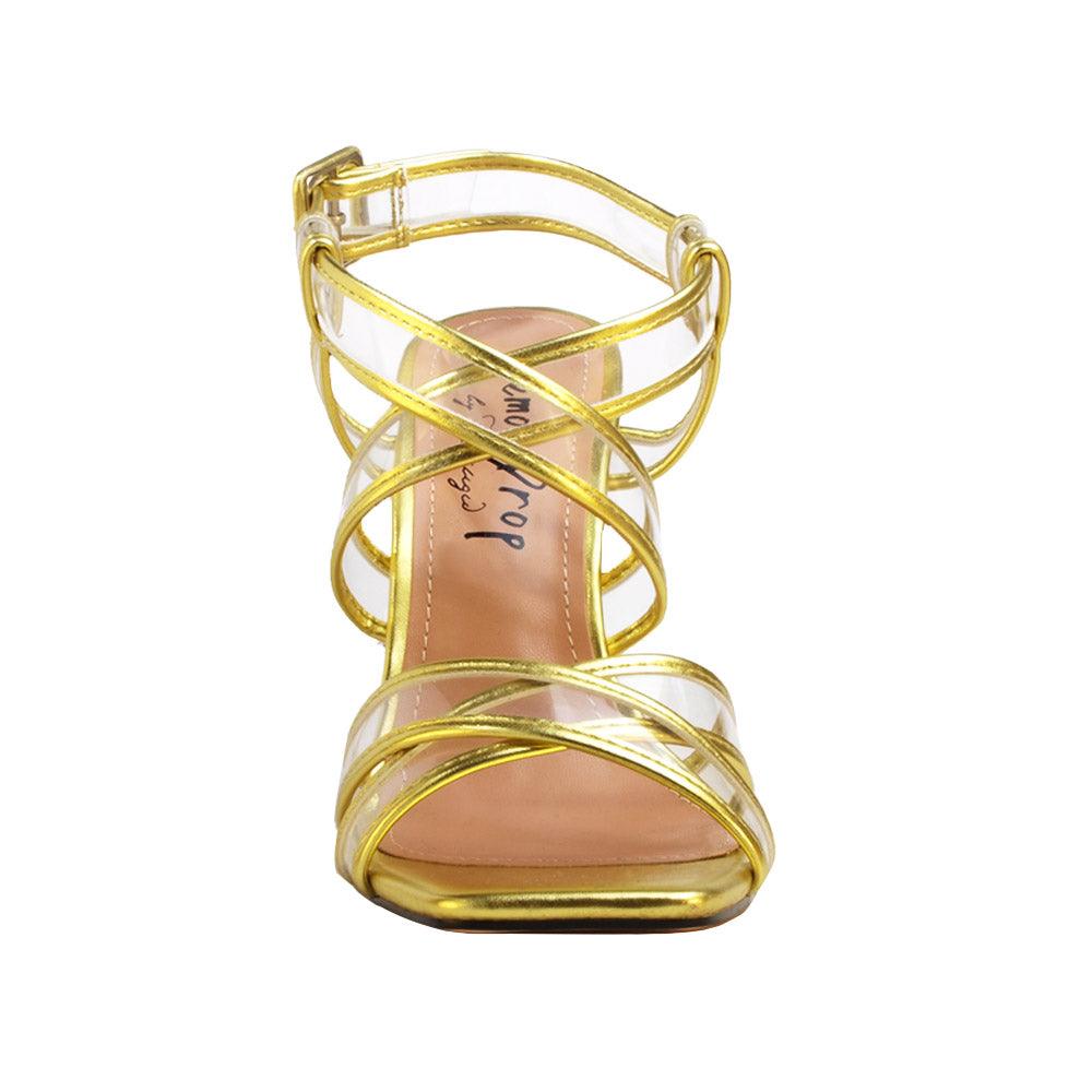 HeelPrivilegedMaguy