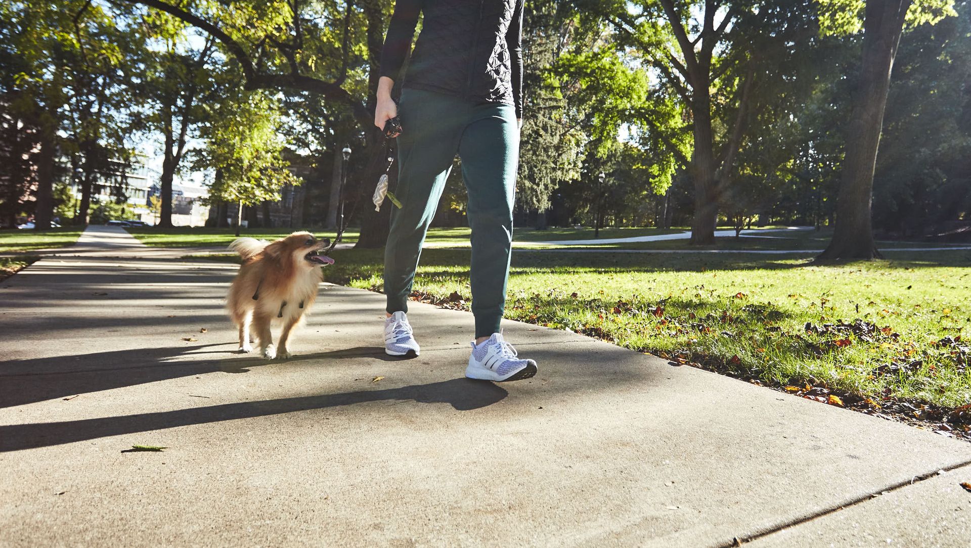 What Women’s Shoes is Best For Walking? - Privileged