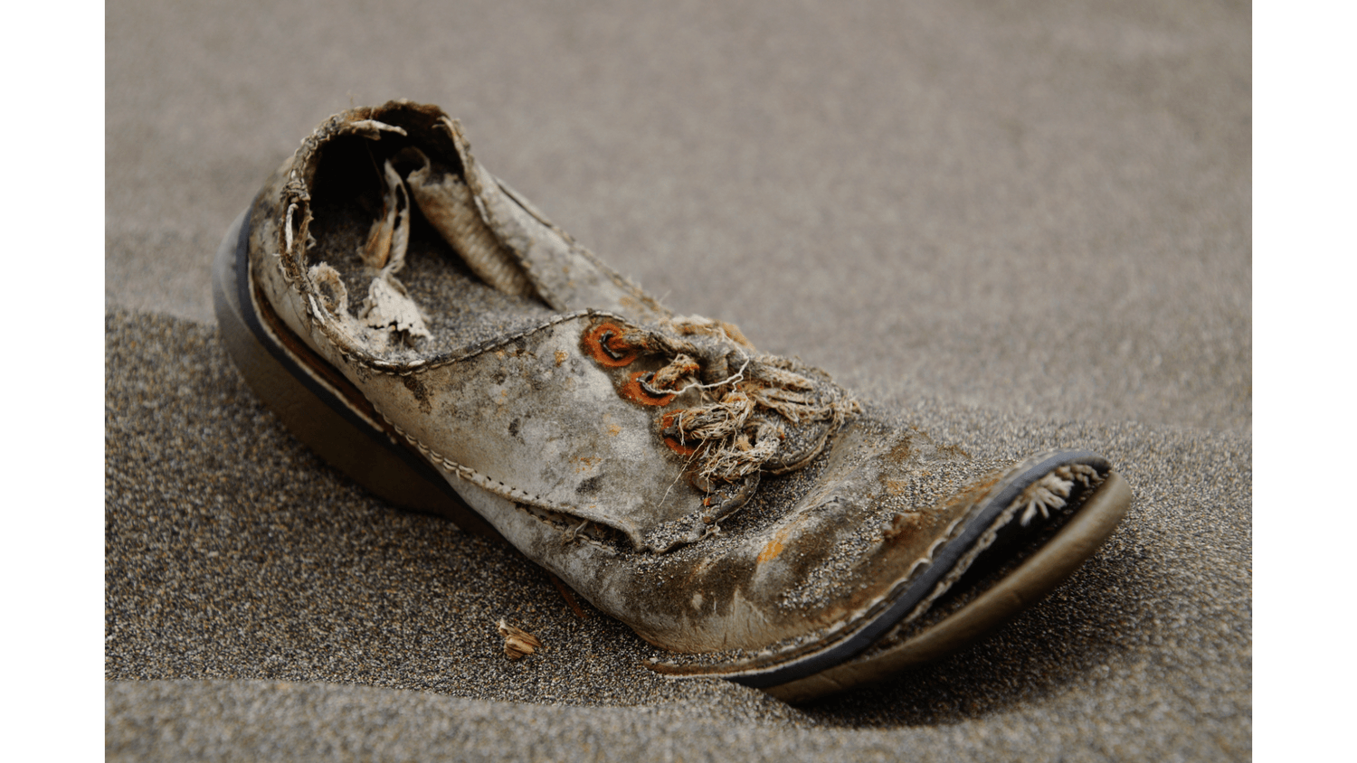 Why Did Humans Start Wearing Shoes - Privileged