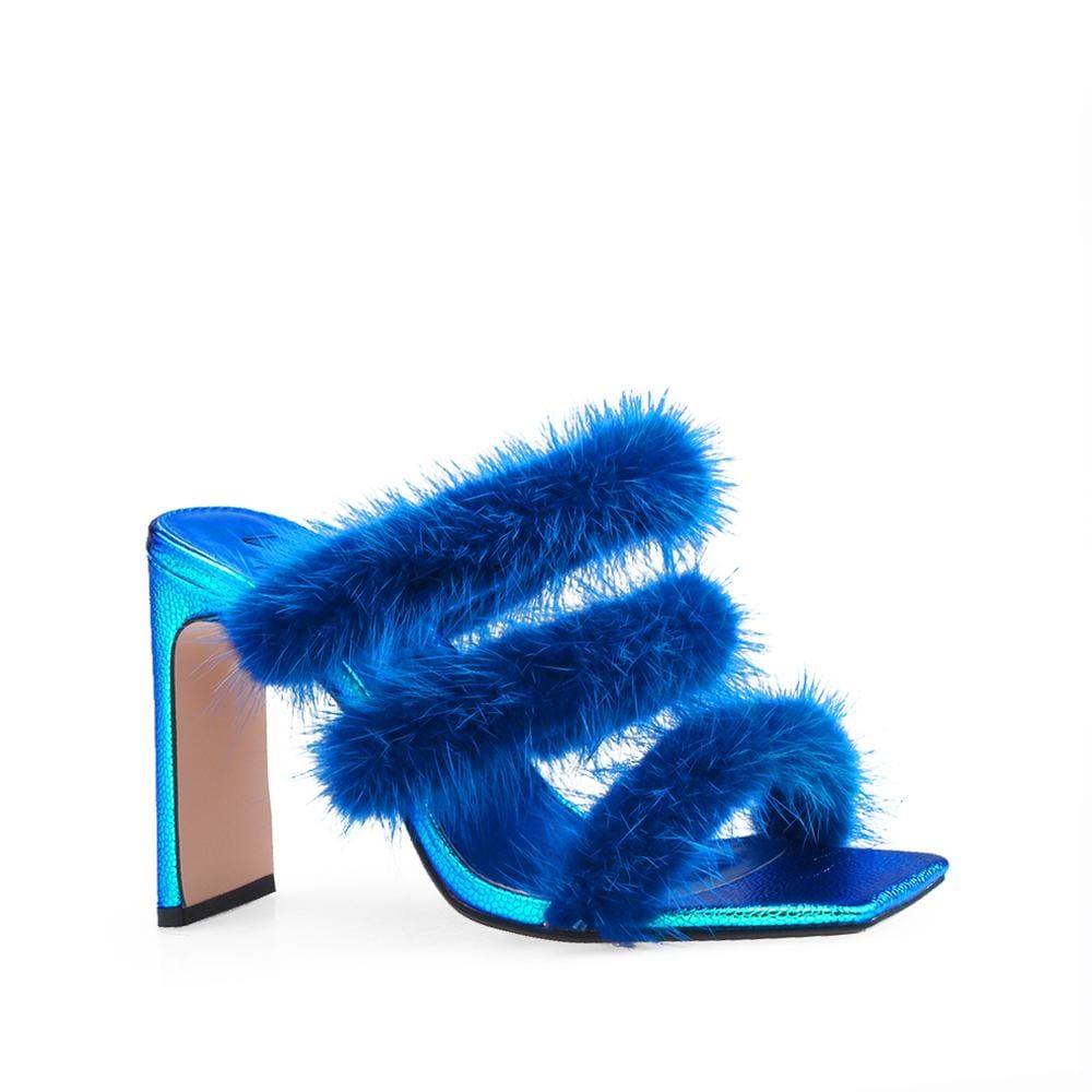 HeelPrivilegedCachita