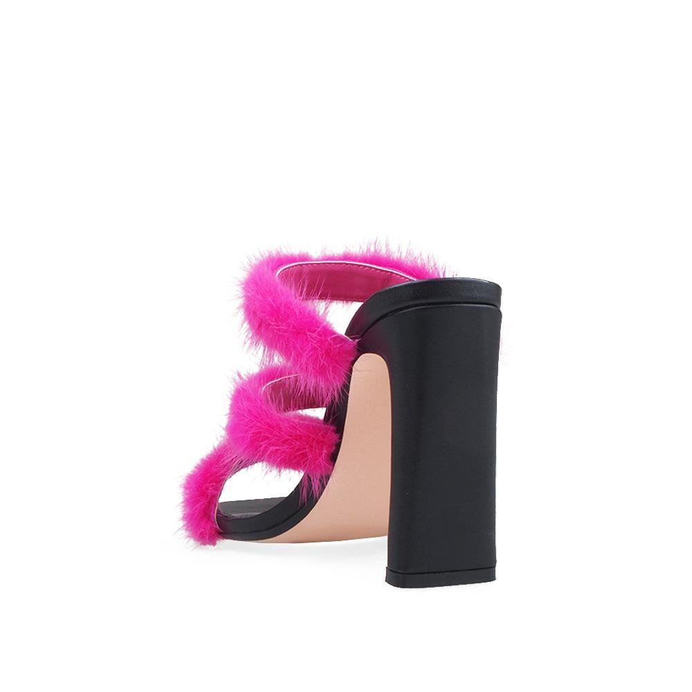 HeelPrivilegedCachita