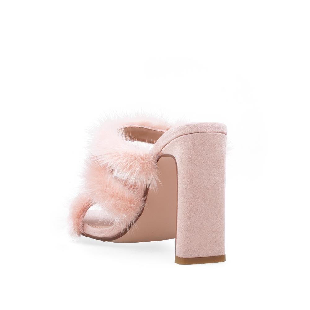 HeelPrivilegedCachita