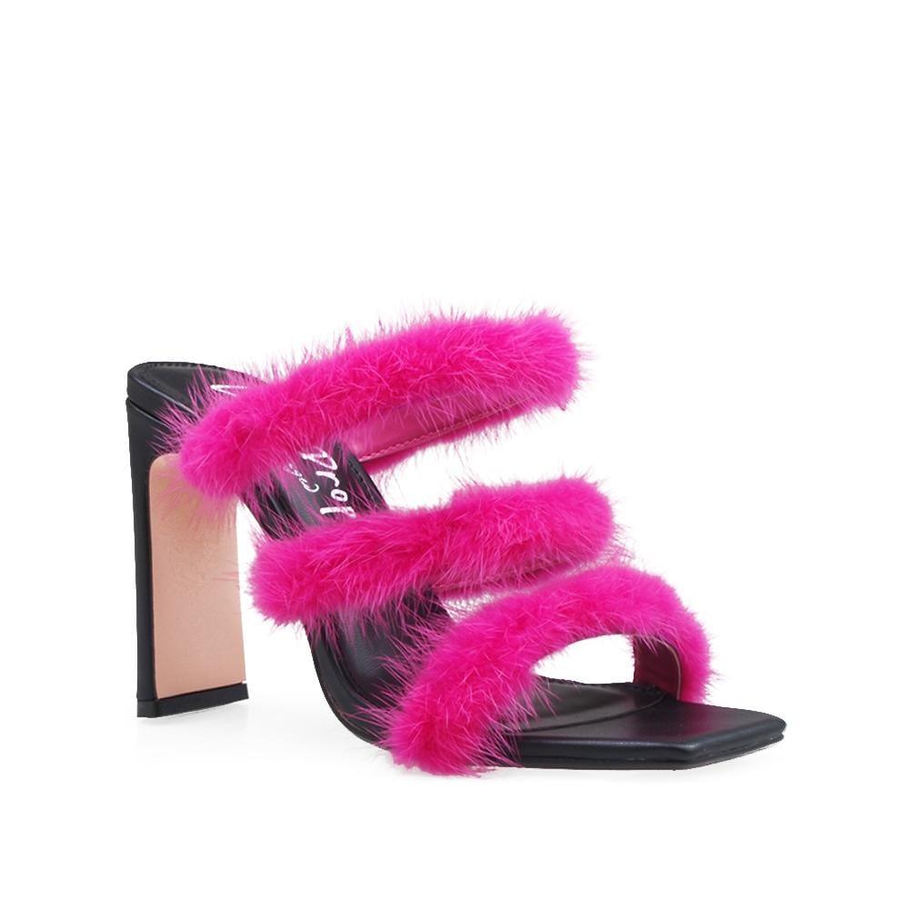 HeelPrivilegedCachita