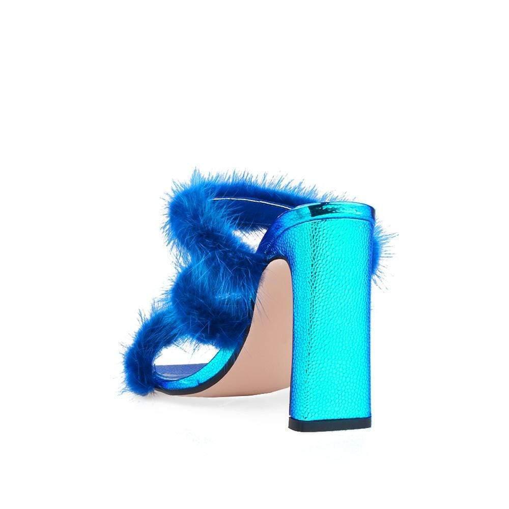 HeelPrivilegedCachita