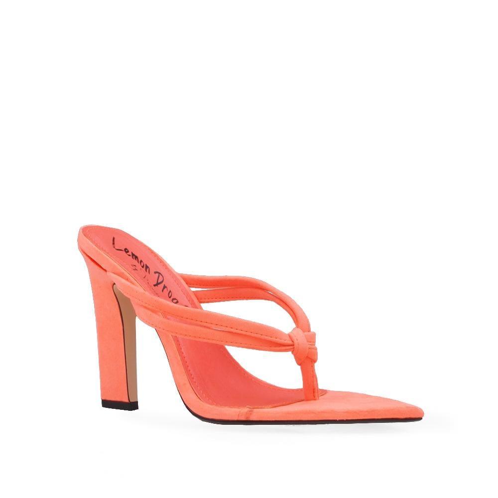 HeelPrivilegedMaysville