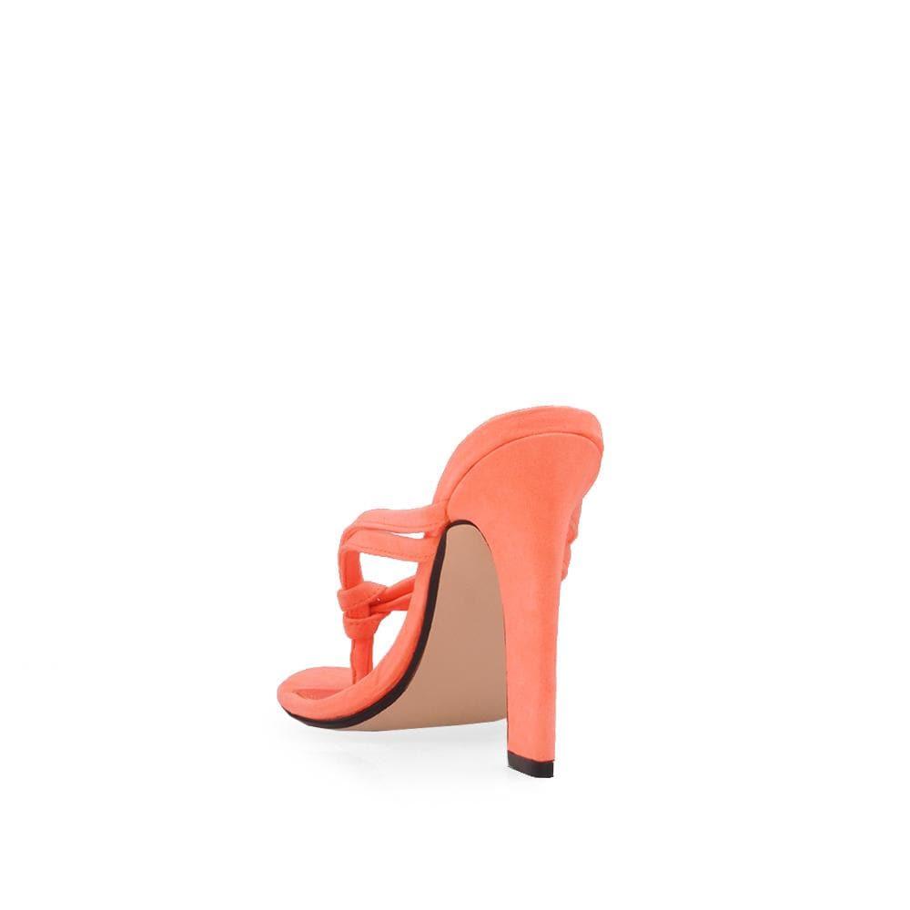 HeelPrivilegedMaysville
