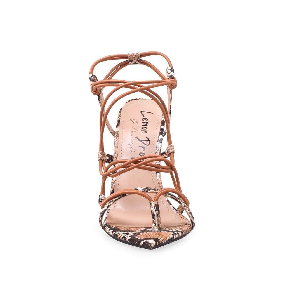 HeelPrivilegedSicara